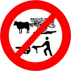 Traffic Sign